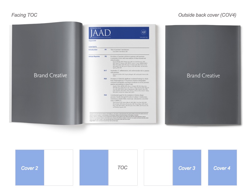 Journal - Premium Positions