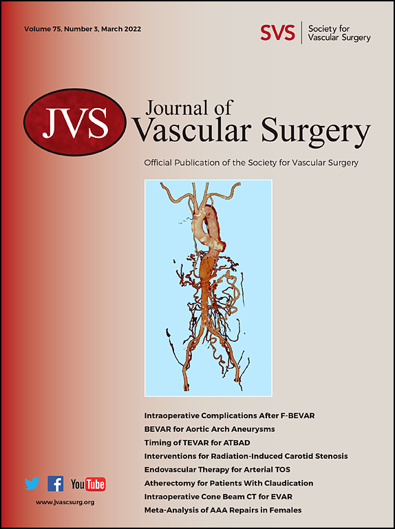 Journal of Vascular Surgery