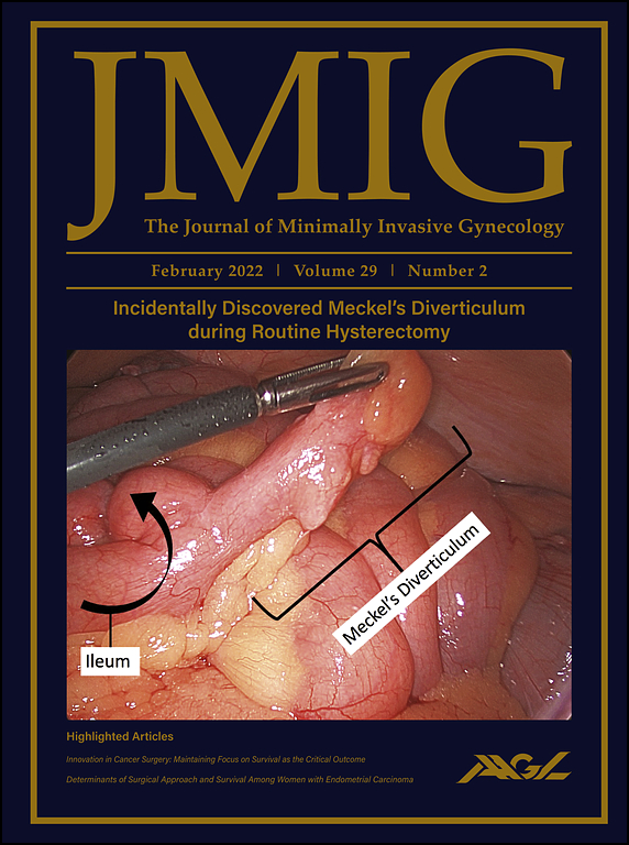 Journal of Minimally Invasive Gynecology