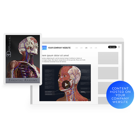 Complete Anatomy licensing mockup.
