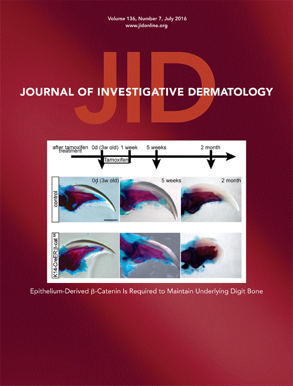 Journal of Investigative Dermatology Elsevier Pharma Solutions