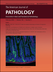 The American Journal of Pathology