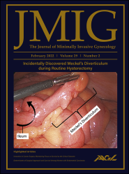 Journal of Minimally Invasive Gynecology