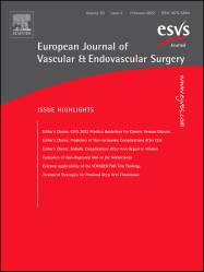 European Journal of Vascular and Endovascular Surgery