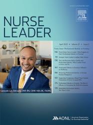 nurse leader, professional identity in nursing, professional identity, younger and older nurse leaders  